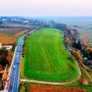 Prodej zemědělské půdy 4 499 m² Mělník, 