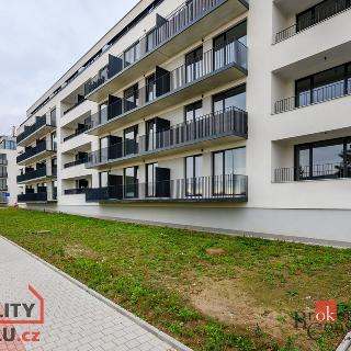 Pronájem bytu 2+kk 73 m² Plzeň, Goldscheiderova