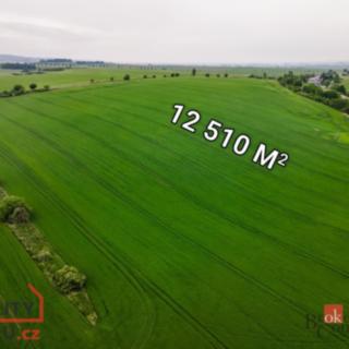 Prodej zemědělské půdy 12 510 m² Držovice
