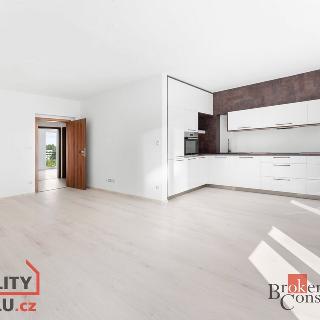 Pronájem bytu 3+kk 78 m² Nové Město nad Metují, Březinky