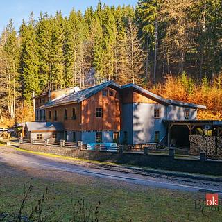 Prodej hotelu, penzionu 650 m&sup2; Strážné