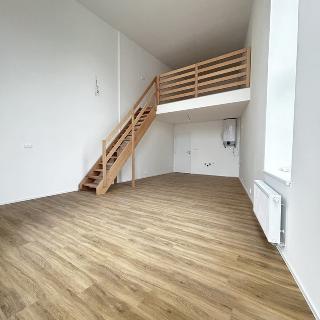 Pronájem bytu 2+kk 56 m² Opava, Rolnická