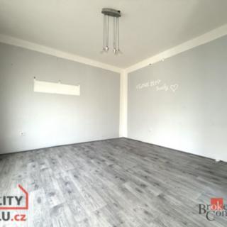 Pronájem bytu 3+1 62 m² Jirkov, Osvobození