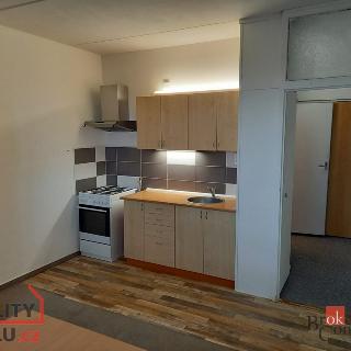 Pronájem bytu 1+1 39 m² Žatec, Jabloňová