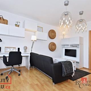 Pronájem bytu 2+kk 40 m² Praha, Mezipolí