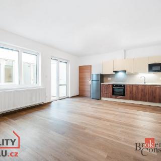 Pronájem bytu 1+kk, garsoniery 47 m² Moravské Knínice