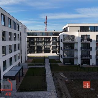 Prodej bytu 2+kk 82 m² Plzeň, Goldscheiderova