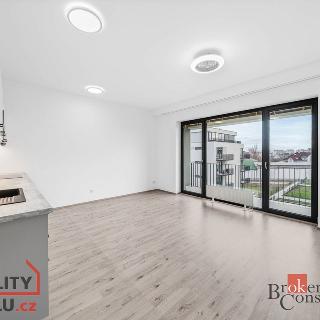 Pronájem bytu 1+kk a garsoniéry 36 m² Plzeň, Železná