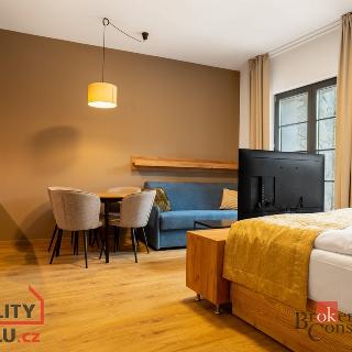 Prodej bytu 1+kk a garsoniéry 33 m² Černý Důl, 