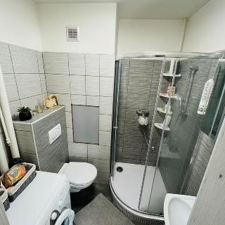 Pronájem bytu 1+kk, garsoniery 27 m² Pardubice