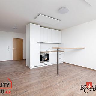 Pronájem bytu 1+kk, garsoniery 20 m&sup2; Bruntál