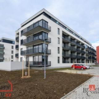 Pronájem bytu 1+kk a garsoniéry 49 m² Plzeň, Měděná
