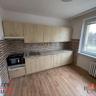 Pronájem bytu 1+1 38 m² Opava, 17. listopadu