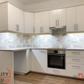 Pronájem bytu 1+1 40 m² Opava Předměstí, Zámecký okruh