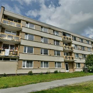 Prodej bytu 1+1 39 m² Rokytnice v Orlických horách