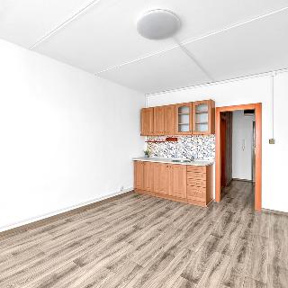 Prodej bytu 1+kk a garsoniéry 30 m² Trutnov, Maxima Gorkého