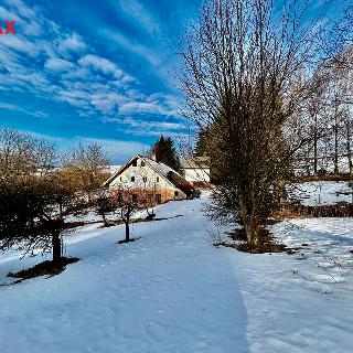 Prodej chalupy 173 m² Říčky v Orlických horách