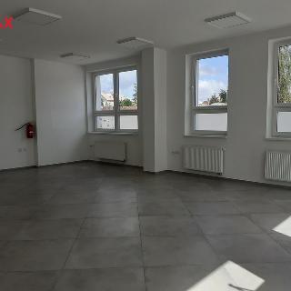 Pronájem ostatního komerčního prostoru 150 m² Moravská Třebová, Komenského