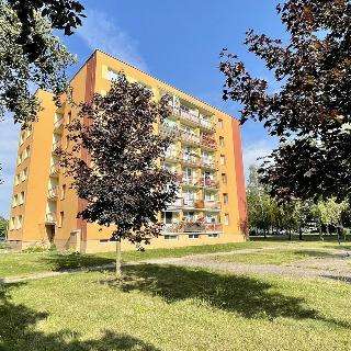 Prodej bytu 1+kk a garsoniéry 34 m² Hradec Králové, Pod Zámečkem