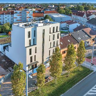 Prodej bytu 2+kk 54 m² Hradec Králové, Gočárova třída