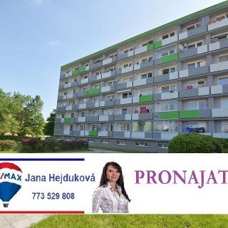 Pronájem bytu 2+kk 47 m² Hradec Králové, Brožíkova