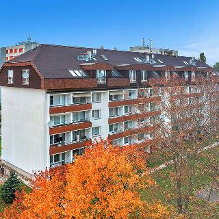 Prodej bytu 3+1 88 m² Hradec Králové, K Sokolovně