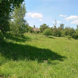 Prodej stavební parcely 845 m² Anenská Studánka