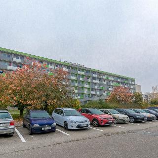 Pronájem bytu 1+kk a garsoniéry 32 m² Hradec Králové, Brožíkova