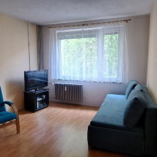 Pronájem bytu 1+1 35 m² Ústí nad Orlicí, Jilemnického