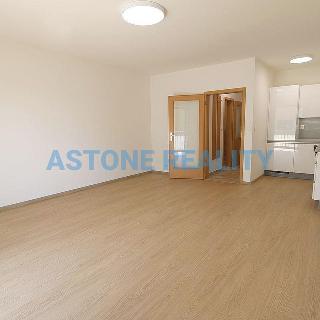 Prodej bytu 1+kk a garsoniéry 46 m² Praha, 