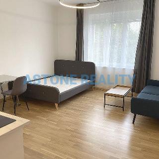 Pronájem bytu 1+kk a garsoniéry 30 m² Praha, Boleslavova