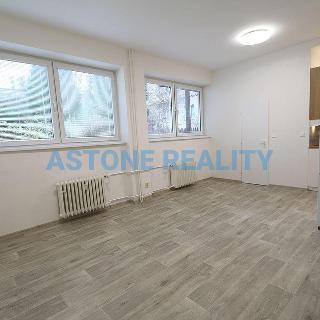 Pronájem bytu 1+kk a garsoniéry 30 m² Praha, Patočkova