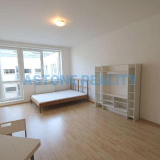 Pronájem bytu 1+kk a garsoniéry 46 m² Praha, U Hostavického potoka