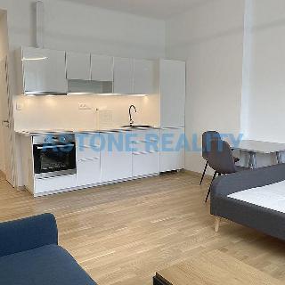 Pronájem bytu 1+kk a garsoniéry 30 m² Praha, Boleslavova