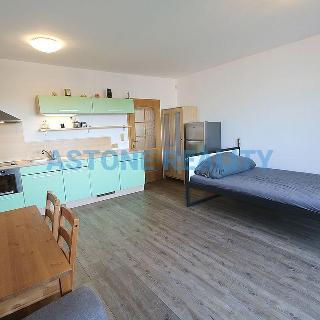 Pronájem bytu 1+kk a garsoniéry 36 m² Praha, Švehlova