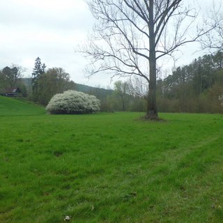 Prodej louky 4 250 m² Zdětín