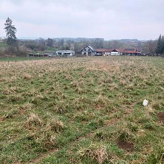 Prodej stavební parcely 5462 m&sup2; Polom
