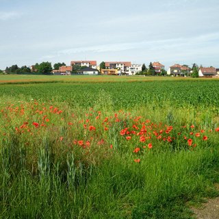 Prodej stavební parcely 43 863 m² Jaroměřice nad Rokytnou, Čelakovského