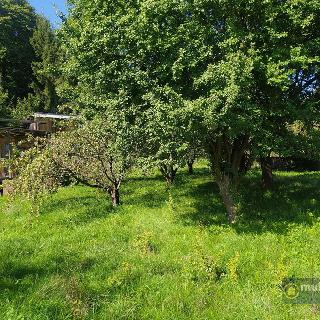 Prodej stavební parcely 1 180 m² Račice-Pístovice