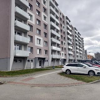 Pronájem bytu 3+1 82 m² Vyškov, Sídliště Osvobození