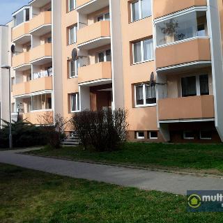 Pronájem bytu 1+1 36 m² Vyškov, Palánek