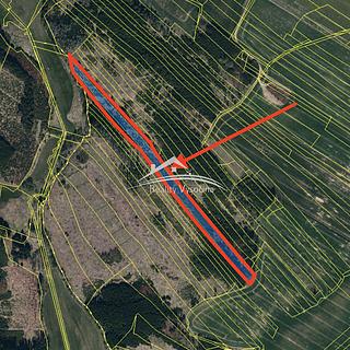 Prodej lesa 8890 m&sup2; Žirovnice