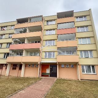 Prodej bytu 2+1 64 m² Pelhřimov