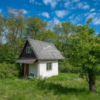 Prodej chaty 36 m² Žirovnice