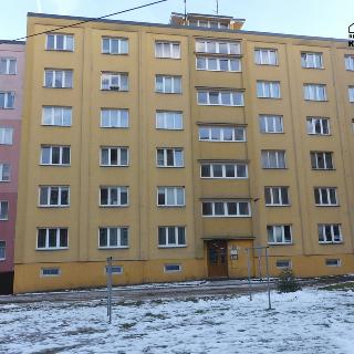 Prodej bytu 1+1 41 m² Cheb, Májová