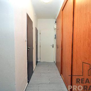 Prodej bytu 3+1 64 m² Olomouc, I. P. Pavlova