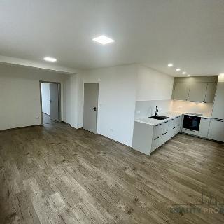 Pronájem bytu 2+kk 54 m² Břeclav, Sladová