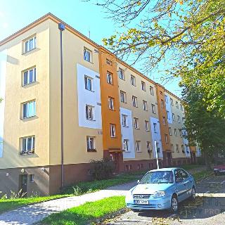 Prodej bytu 3+1 64 m² Hradec Králové, Markovická