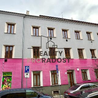 Prodej bytu 2+1 51 m² Brno, Palackého třída