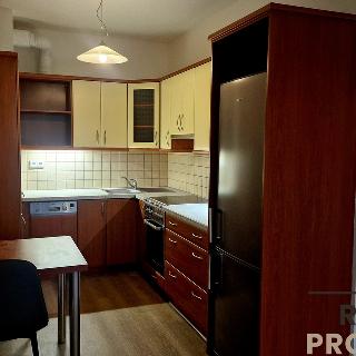 Pronájem bytu 2+kk 56 m² Praha, Wassermannova